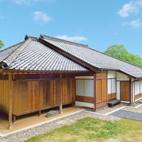 �؉����� ����